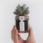 tumblr_ndw1punrK31sfyngeo3_1280-1170×731